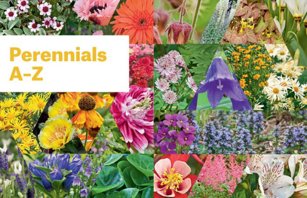 Essential Perennials: The Complete Reference to 2700 Perennials for the Home Garden