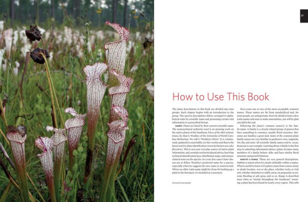 Native Plants of the Southeast: A Comprehensive Guide to the Best 460 Species for the Garden