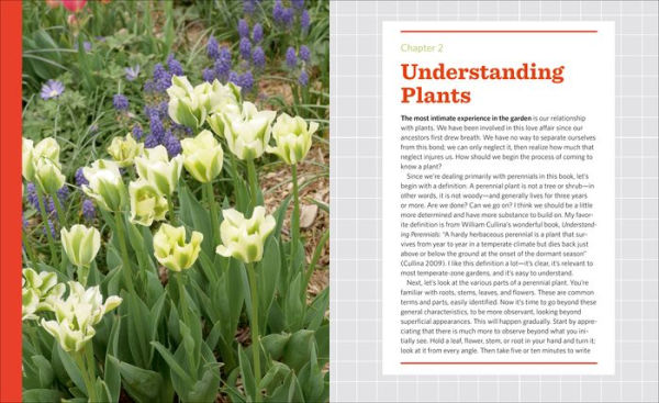 The Know Maintenance Perennial Garden