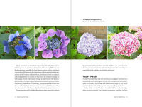 Alternative view 11 of How Plants Work: The Science Behind the Amazing Things Plants Do