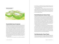 Alternative view 7 of How Plants Work: The Science Behind the Amazing Things Plants Do