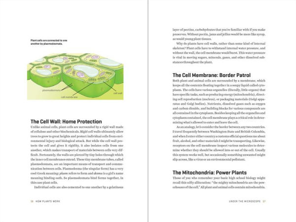 How Plants Work: The Science Behind the Amazing Things Plants Do