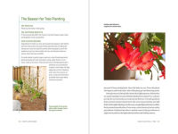 Alternative view 9 of How Plants Work: The Science Behind the Amazing Things Plants Do
