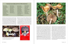 Alternative view 2 of California Mushrooms: The Comprehensive Identification Guide