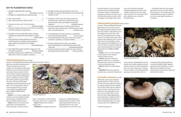 California Mushrooms: The Comprehensive Identification Guide