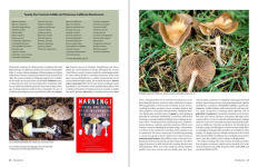 Alternative view 10 of California Mushrooms: The Comprehensive Identification Guide