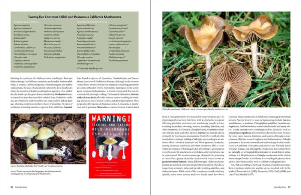 California Mushrooms: The Comprehensive Identification Guide