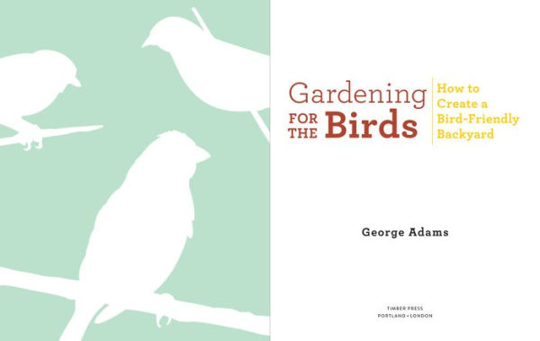 Gardening for the Birds: How to Create a Bird-Friendly Backyard