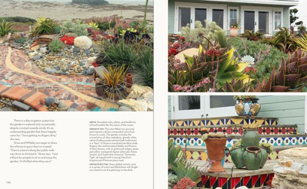 Hot Color, Dry Garden: Inspiring Designs and Vibrant Plants for the Waterwise Gardener