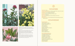Alternative view 2 of Hot Color, Dry Garden: Inspiring Designs and Vibrant Plants for the Waterwise Gardener