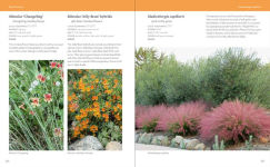 Alternative view 4 of Hot Color, Dry Garden: Inspiring Designs and Vibrant Plants for the Waterwise Gardener