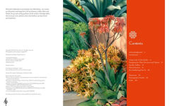 Alternative view 7 of Hot Color, Dry Garden: Inspiring Designs and Vibrant Plants for the Waterwise Gardener