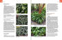 Alternative view 12 of The Complete Book of Ground Covers: 4000 Plants that Reduce Maintenance, Control Erosion, and Beautify the Landscape