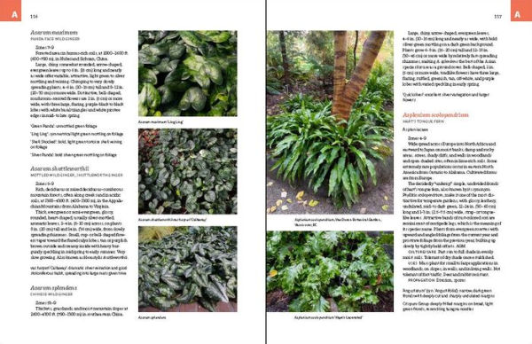 The Complete Book of Ground Covers: 4000 Plants that Reduce Maintenance, Control Erosion, and Beautify the Landscape