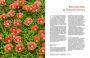 Alternative view 8 of The Complete Book of Ground Covers: 4000 Plants that Reduce Maintenance, Control Erosion, and Beautify the Landscape