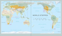Alternative view 2 of Steppes: The Plants and Ecology of the World's Semi-arid Regions