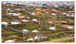 Alternative view 4 of Steppes: The Plants and Ecology of the World's Semi-arid Regions