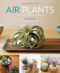 Title: Air Plants: The Curious World of Tillandsias, Author: Zenaida Sengo