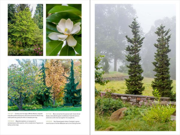 The Art of Gardening: Design Inspiration and Innovative Planting Techniques from Chanticleer