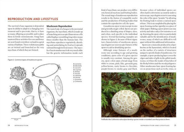 Mushrooms of the Rocky Mountain Region