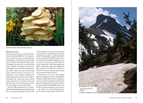 Mushrooms of the Rocky Mountain Region