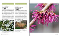 Alternative view 3 of Gardening in the South: The Complete Homeowner's Guide