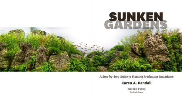 Sunken Gardens: A Step-by-Step Guide to Planting Freshwater Aquariums