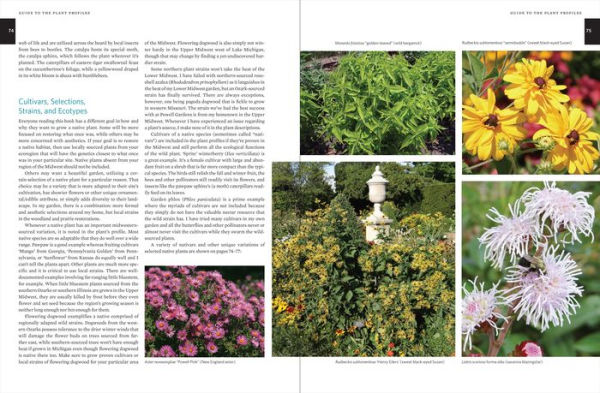 Native Plants of the Midwest: A Comprehensive Guide to the Best 500 Species for the Garden