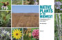 Alternative view 24 of Native Plants of the Midwest: A Comprehensive Guide to the Best 500 Species for the Garden