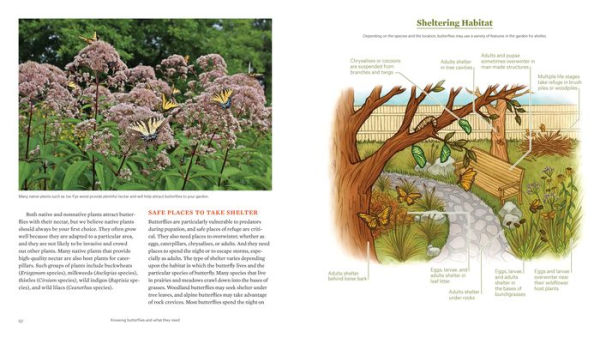 Gardening for Butterflies: How You Can Attract and Protect Beautiful, Beneficial Insects