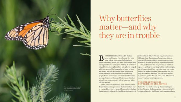 Gardening for Butterflies: How You Can Attract and Protect Beautiful, Beneficial Insects