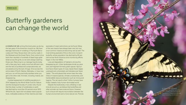 Gardening for Butterflies: How You Can Attract and Protect Beautiful, Beneficial Insects