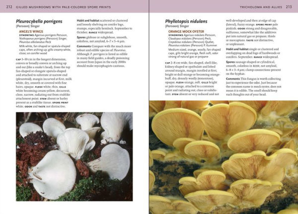 Mushrooms of the Northeastern United States and Eastern Canada