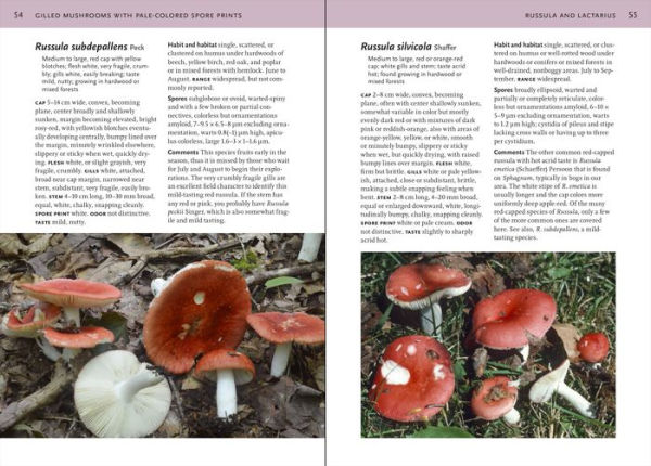 Mushrooms of the Northeastern United States and Eastern Canada