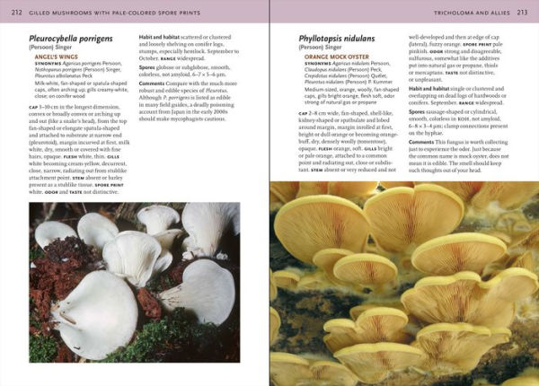 Mushrooms of the Northeastern United States and Eastern Canada