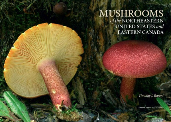 Mushrooms of the Northeastern United States and Eastern Canada