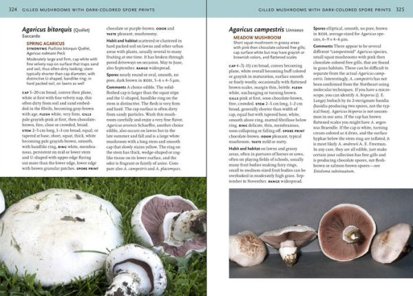 Mushrooms of the Northeastern United States and Eastern Canada