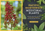 Alternative view 2 of Pacific Northwest Medicinal Plants: Identify, Harvest, and Use 120 Wild Herbs for Health and Wellness