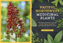 Alternative view 8 of Pacific Northwest Medicinal Plants: Identify, Harvest, and Use 120 Wild Herbs for Health and Wellness