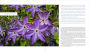 Alternative view 3 of The Plant Lover's Guide to Clematis