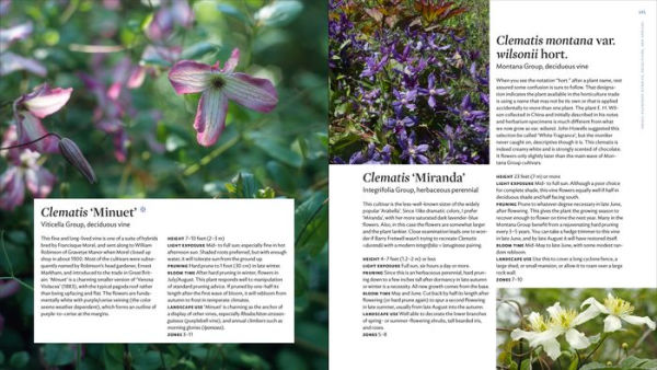 The Plant Lover's Guide to Clematis