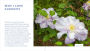 Alternative view 5 of The Plant Lover's Guide to Clematis