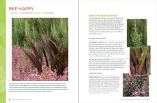 Alternative view 2 of Gardening with Foliage First: 127 Dazzling Combinations That Pair the Beauty of Leaves with Flowers, Bark, Berries, and More
