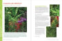 Alternative view 3 of Gardening with Foliage First: 127 Dazzling Combinations That Pair the Beauty of Leaves with Flowers, Bark, Berries, and More