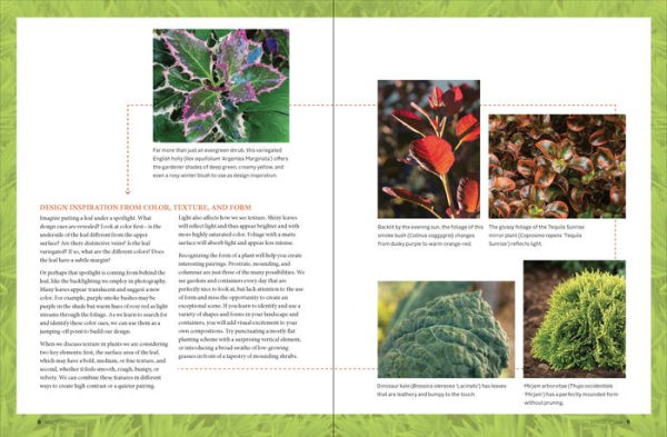 Gardening with Foliage First: 127 Dazzling Combinations That Pair the Beauty of Leaves with Flowers, Bark, Berries, and More