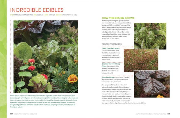 Gardening with Foliage First: 127 Dazzling Combinations That Pair the Beauty of Leaves with Flowers, Bark, Berries, and More