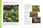 Alternative view 5 of Gardening with Foliage First: 127 Dazzling Combinations That Pair the Beauty of Leaves with Flowers, Bark, Berries, and More