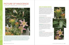 Alternative view 6 of Gardening with Foliage First: 127 Dazzling Combinations That Pair the Beauty of Leaves with Flowers, Bark, Berries, and More