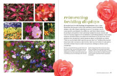 Alternative view 4 of The Flower-Powered Garden: Supercharge Your Borders and Containers with Bold, Colourful Plant Combinations