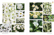 Alternative view 6 of The Flower-Powered Garden: Supercharge Your Borders and Containers with Bold, Colourful Plant Combinations